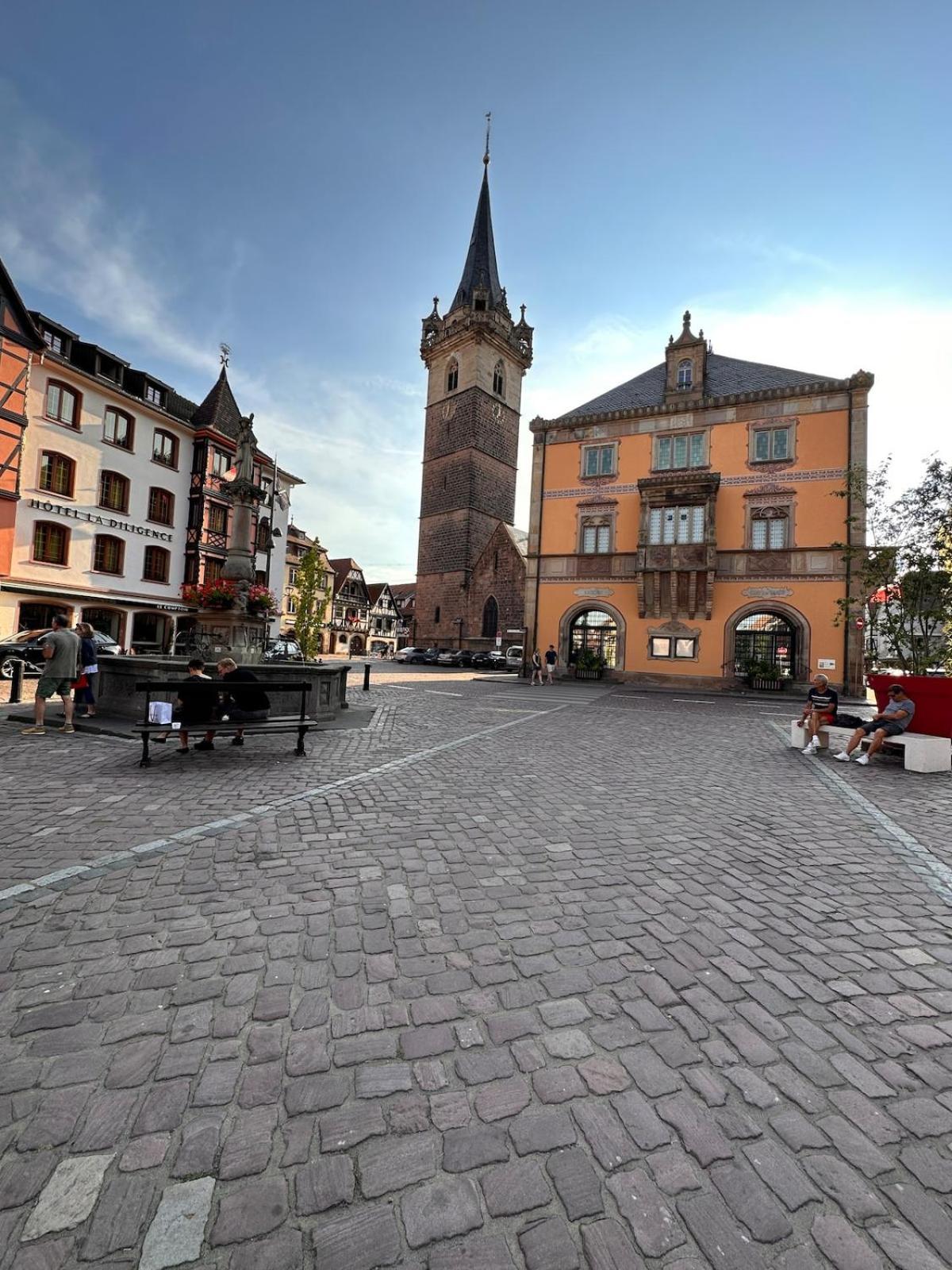 Le Nid Cosy D'Obernai /2Min Centre Ville/Parking Exterior foto