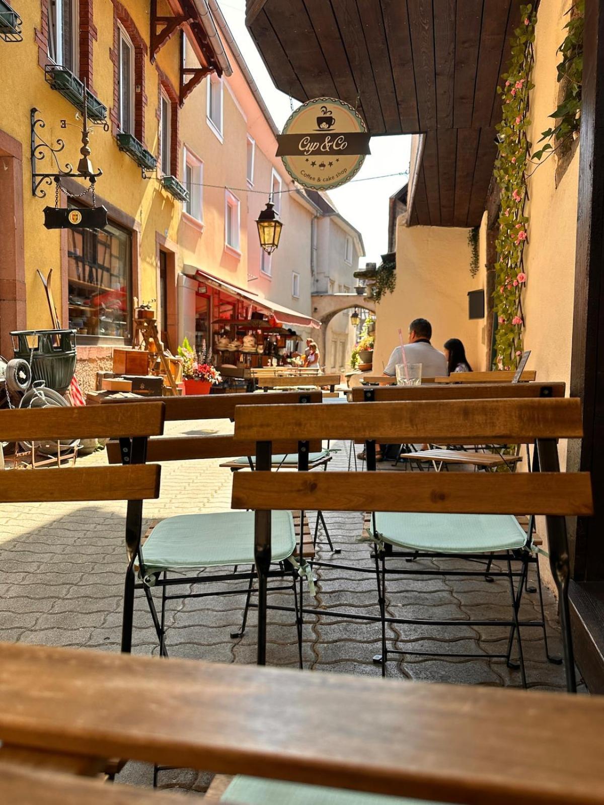 Le Nid Cosy D'Obernai /2Min Centre Ville/Parking Exterior foto