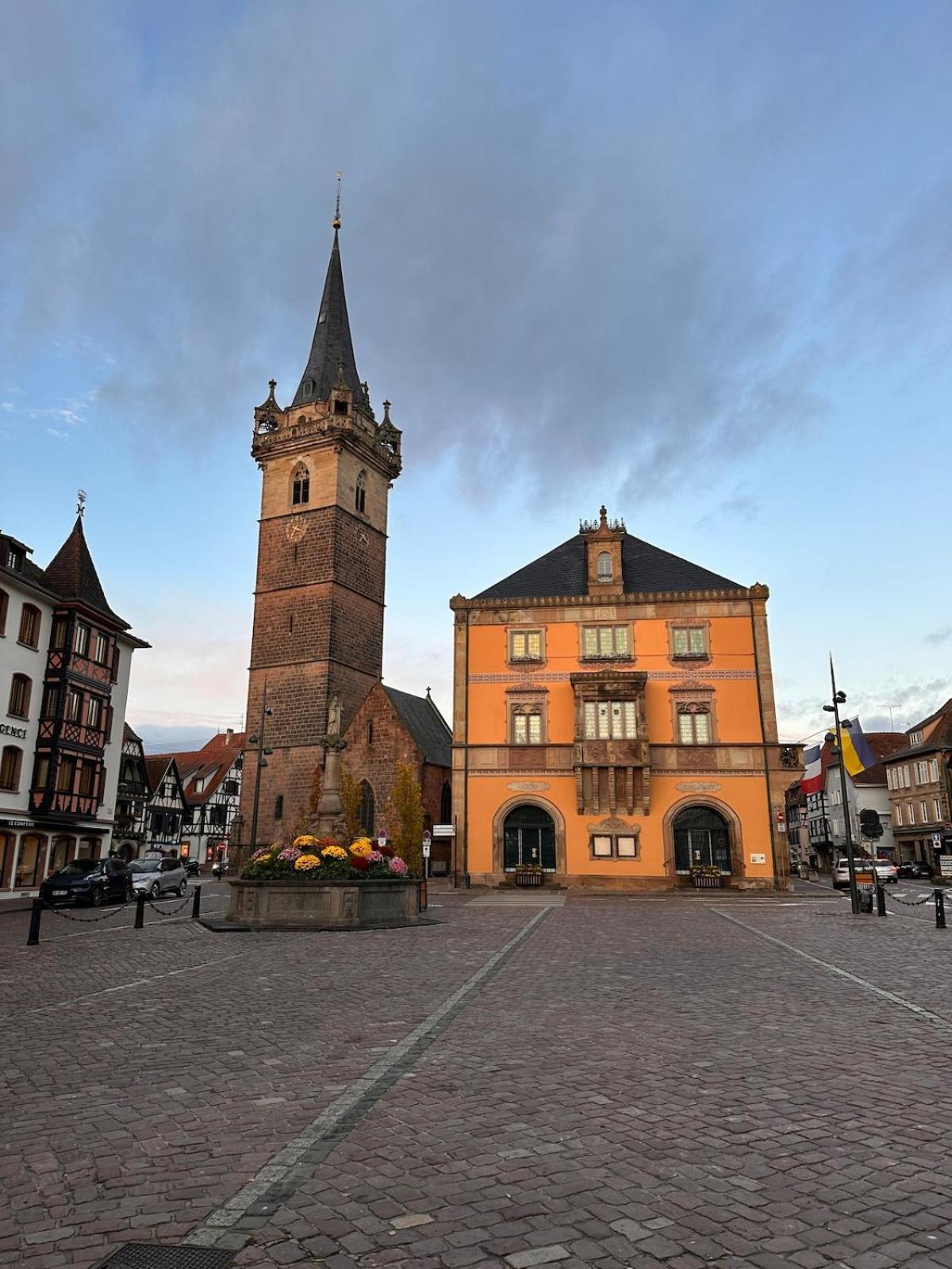 Le Nid Cosy D'Obernai /2Min Centre Ville/Parking Exterior foto
